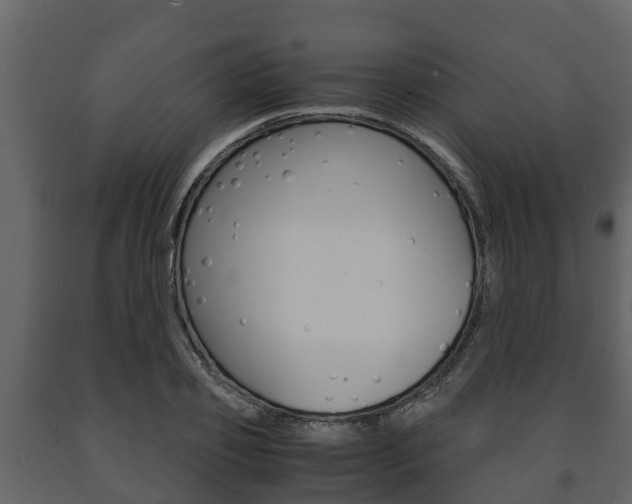 X0000091710933200708240953