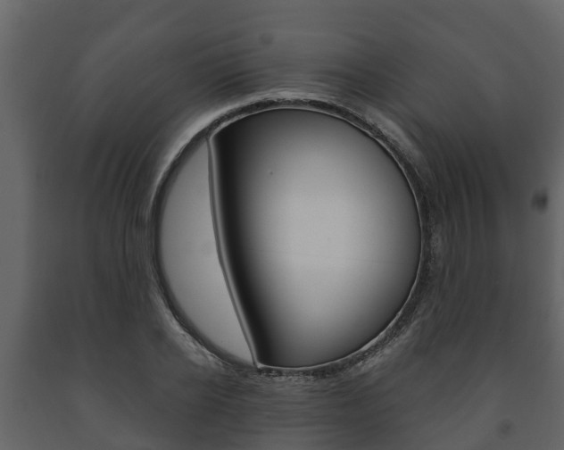 X0000091710934200708240953