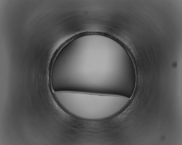 X0000091710935200708240953