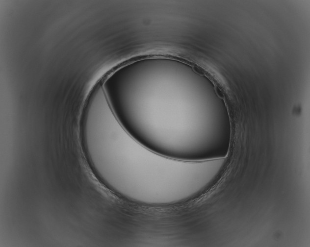 X0000091710936200708240953