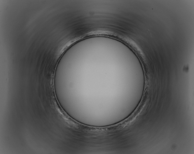 X0000091710937200708240953