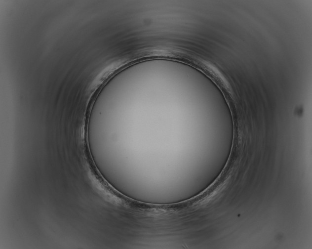 X0000091710938200708240953