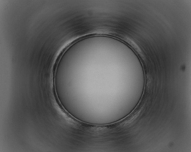 X0000091710939200708240953