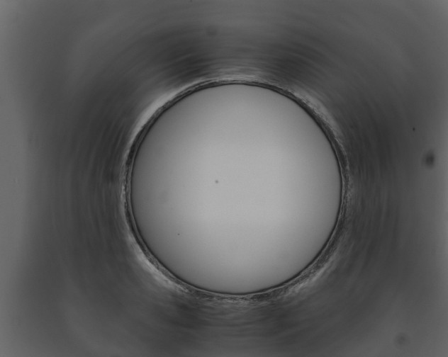 X0000091710941200708240953