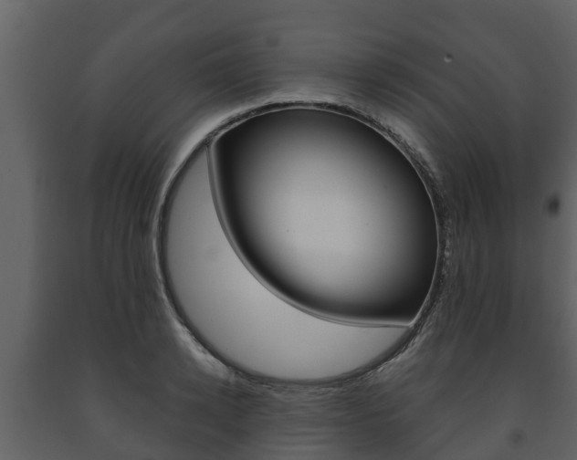 X0000091710942200708240953