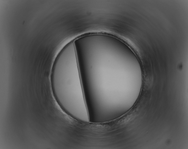 X0000091710943200708240953