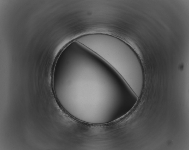 X0000091710944200708240953