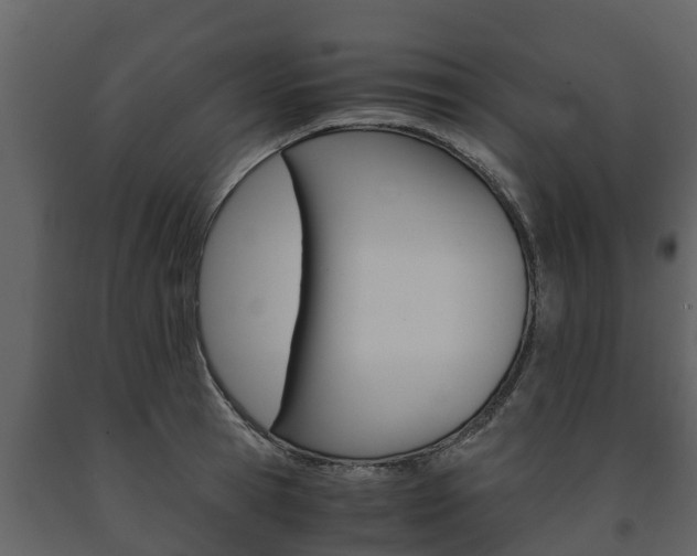 X0000091710945200708240953