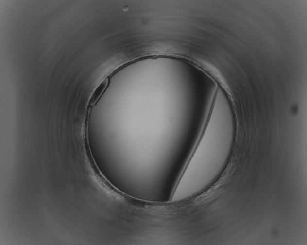X0000091710946200708240953