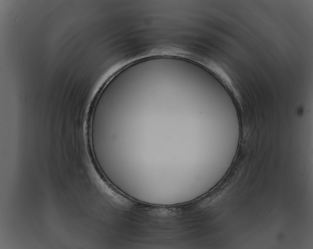 X0000091710947200708240953