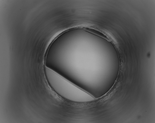 X0000091710948200708240953