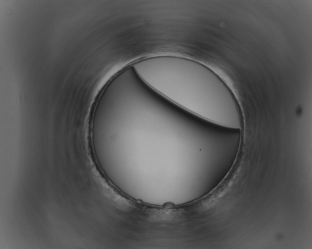 X0000091710949200708240953