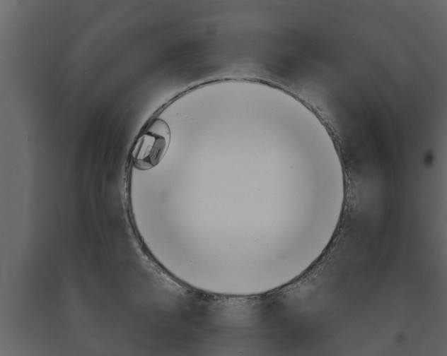 X0000091710950200708240953