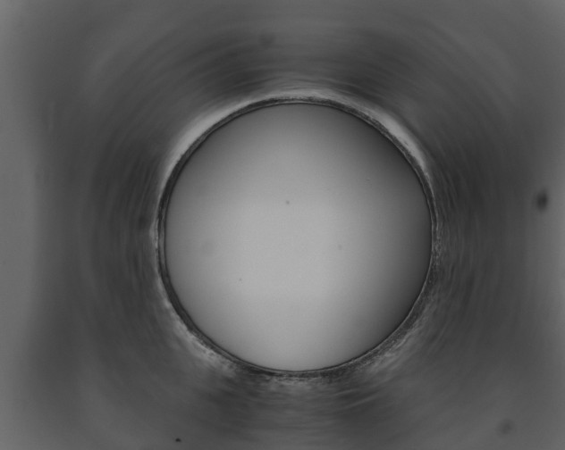 X0000091710951200708240953