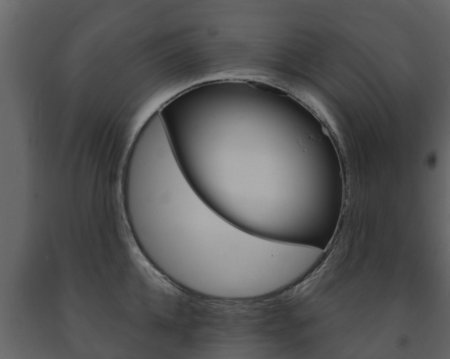 X0000091710952200708240953