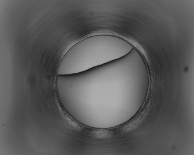 X0000091710953200708240953