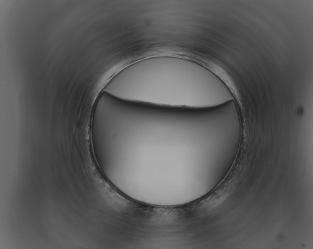 X0000091710954200708240953