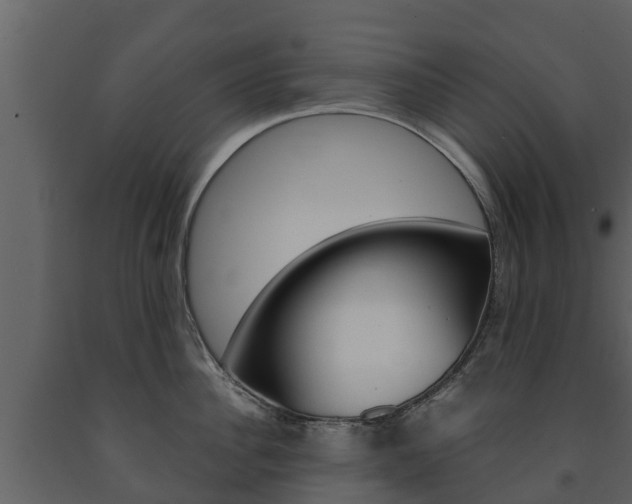 X0000091710956200708240953