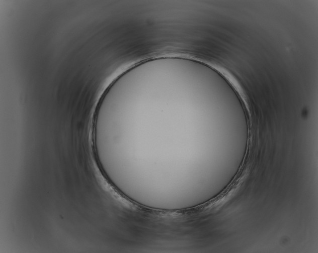 X0000091710957200708240953