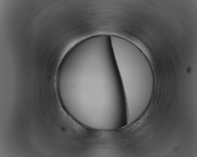 X0000091710958200708240953