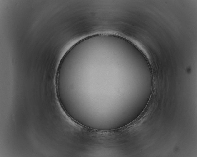 X0000091710959200708240953