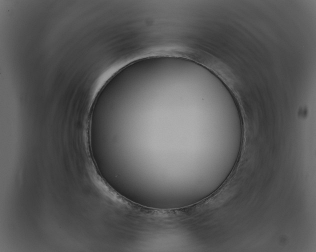 X0000091710960200708240953