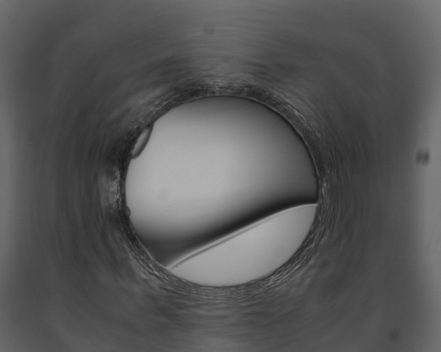 X0000091710963200708240953