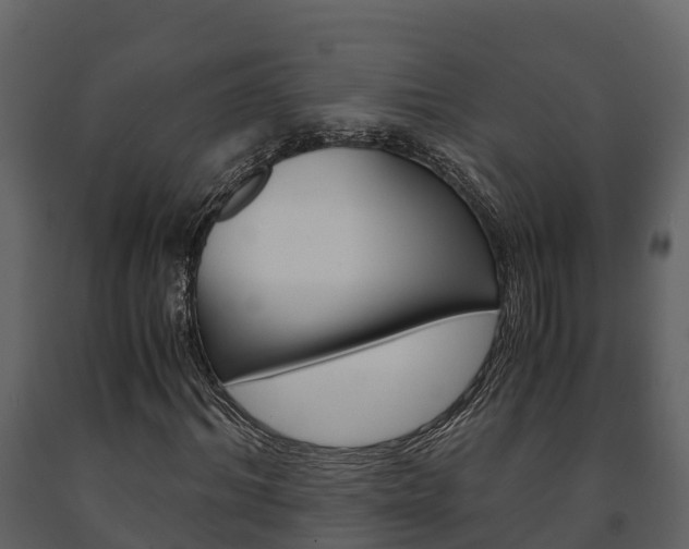 X0000091710964200708240953