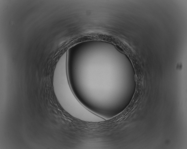 X0000091710965200708240953