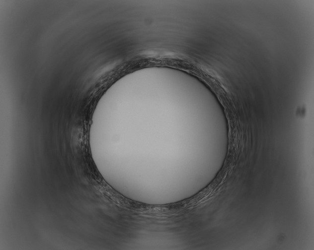 X0000091710966200708240953