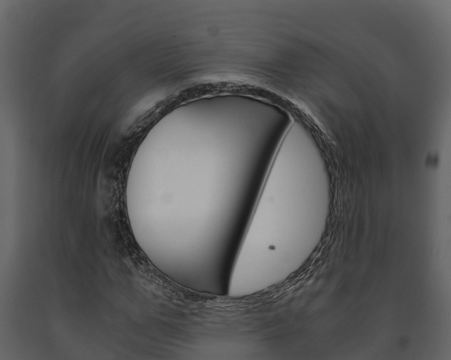 X0000091710967200708240953