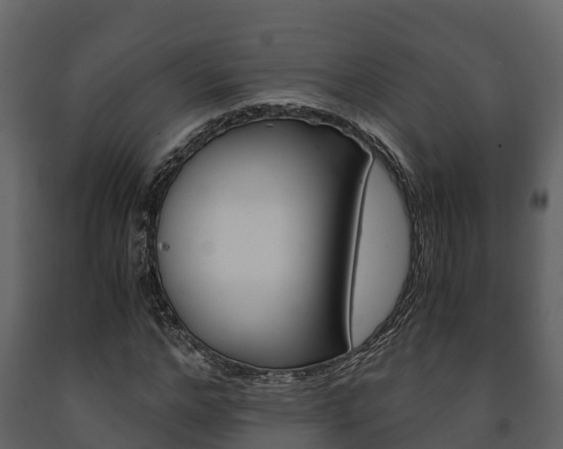 X0000091710968200708240953