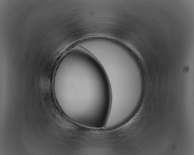 X0000091710969200708240953