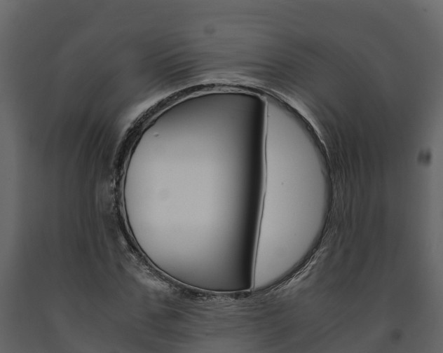 X0000091710971200708240953