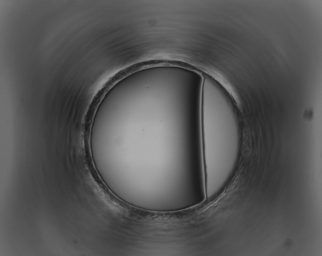 X0000091710972200708240953