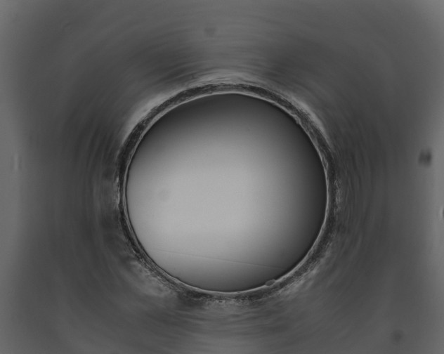 X0000091710973200708240953