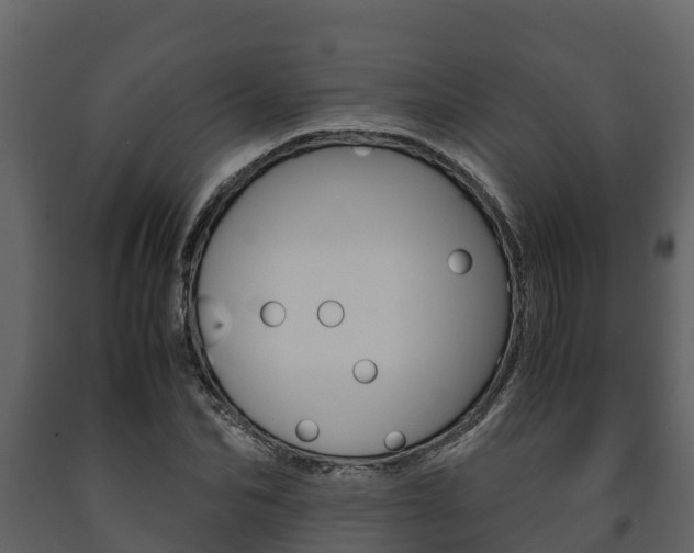 X0000091710974200708240953