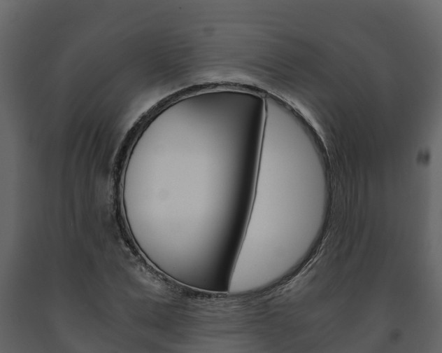 X0000091710975200708240953