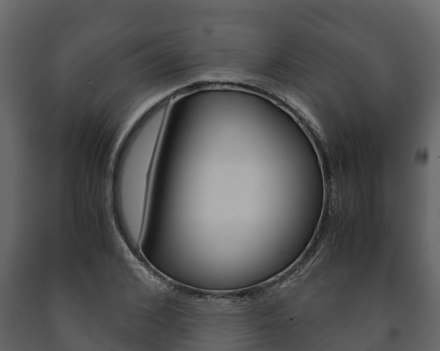 X0000091710976200708240953