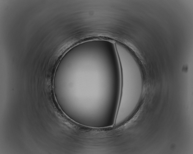 X0000091710977200708240953