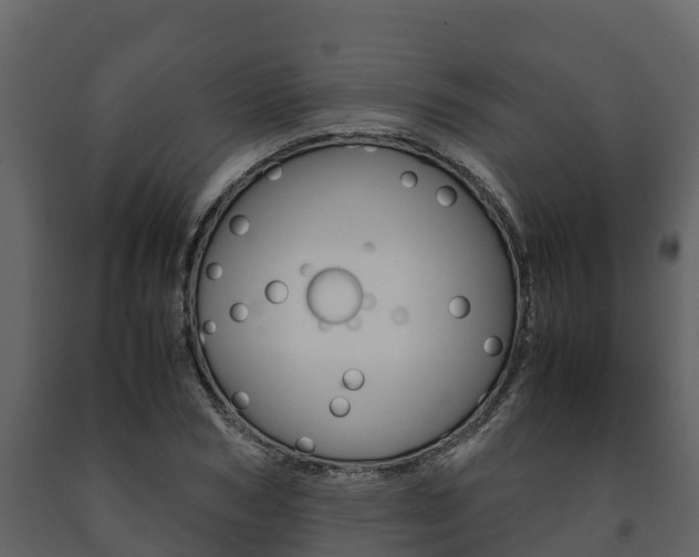 X0000091710978200708240953