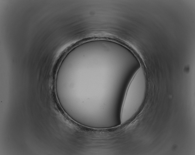 X0000091710979200708240953
