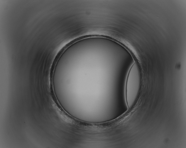 X0000091710980200708240953