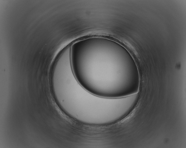 X0000091710981200708240952