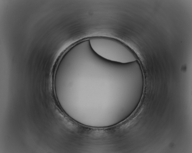 X0000091710982200708240952