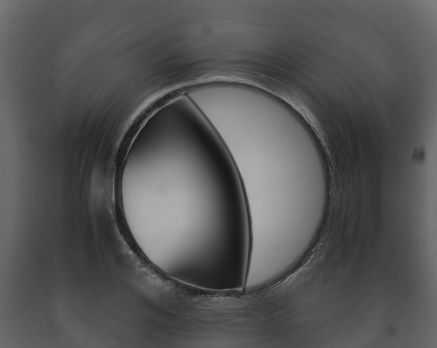 X0000091710984200708240952