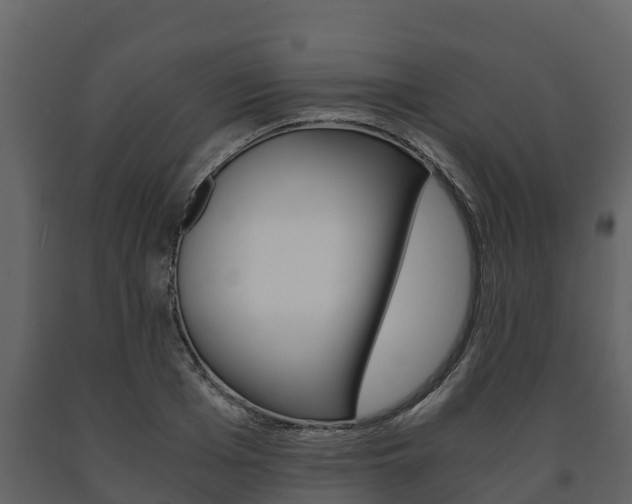 X0000091710985200708240952