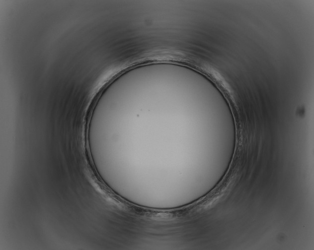 X0000091710986200708240952
