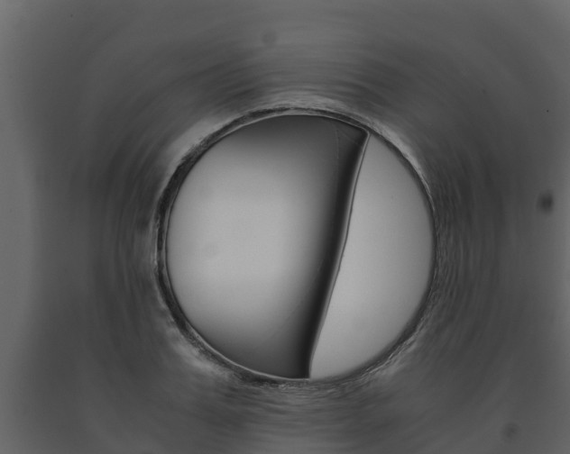 X0000091710987200708240952