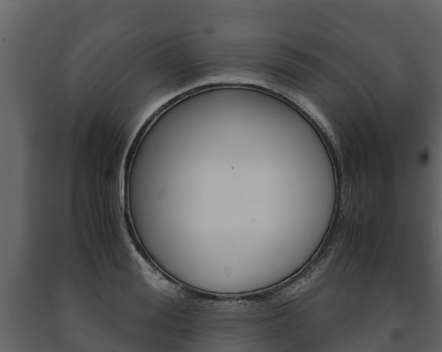 X0000091710988200708240952